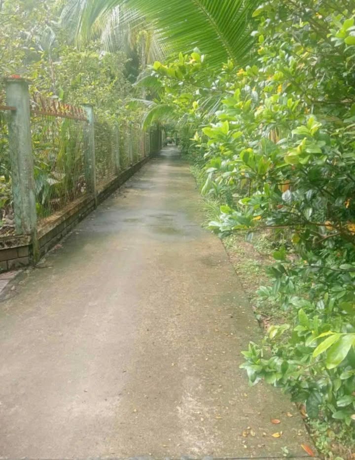 Đất Vườn An Phước, Châu Thành 1400m² Giá 1.12 Tỷ - Tiềm Năng Tăng Giá!