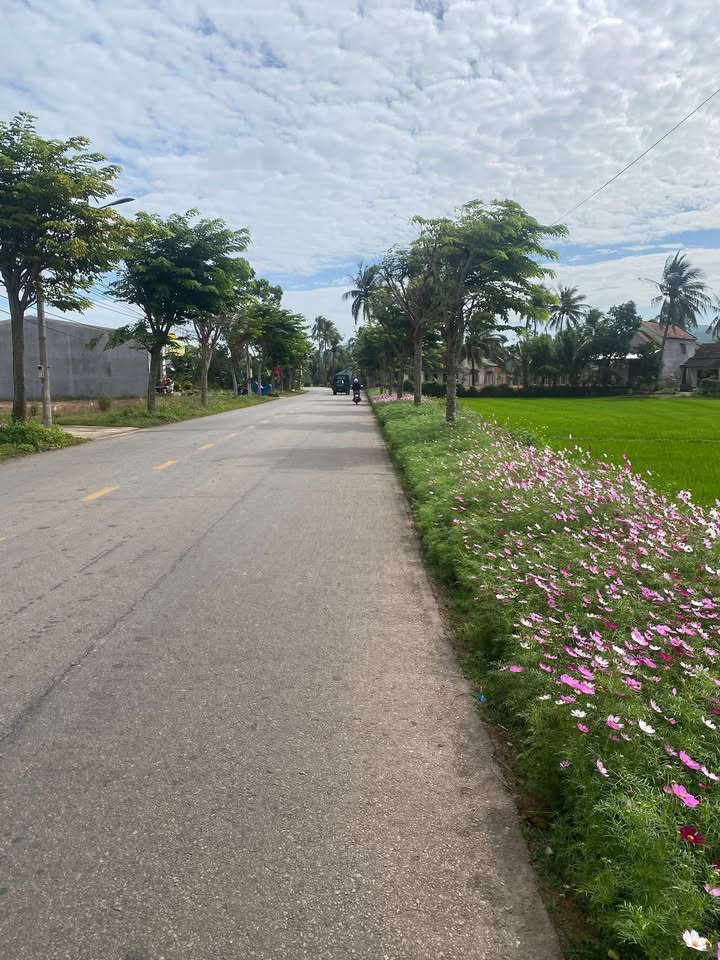 Đất thổ cư 125m² đường nhựa Trường Chinh, Hoài Nhơn - Sổ đỏ sẵn sàng