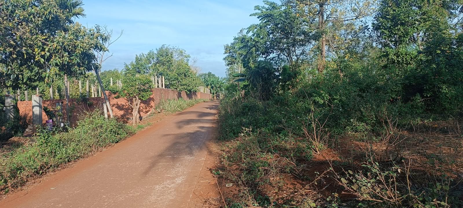 Đất nền QL 26 Cư M'gar 1000m² - Sổ đỏ chính chủ!