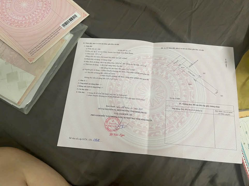 Đất Nền Lộc Ninh, Bình Phước - 300m² Sổ Đỏ, Giá Tốt Đầu Tư