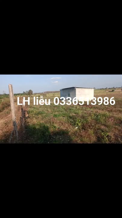 Đất vườn 3ha H Bông Chư Sê 3.7 tỷ - Sinh thái xanh, cà phê trĩu quả!