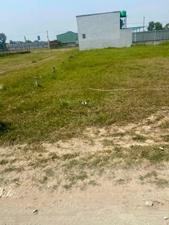 Đất nền Đức Hòa Đông 300m² - Sổ hồng, xây dựng tự do!