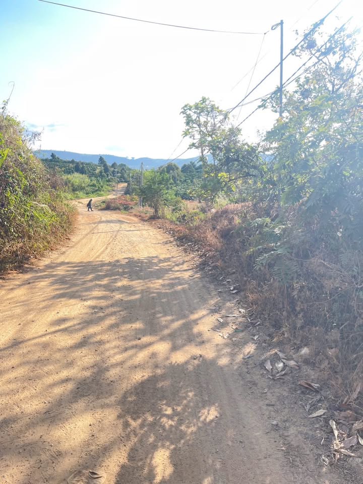 Đất nền Di Linh 3240m² - Ôm suối, 2 mặt đường, tiềm năng đầu tư!