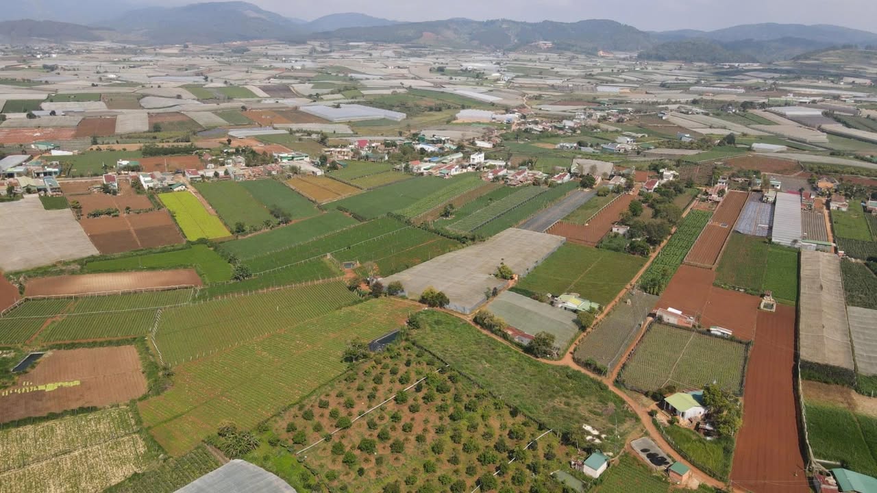 Đất Nền Quảng Lập Bình Thuận 137m² - View Vườn Thoáng Đãng, Ô Tô Thông