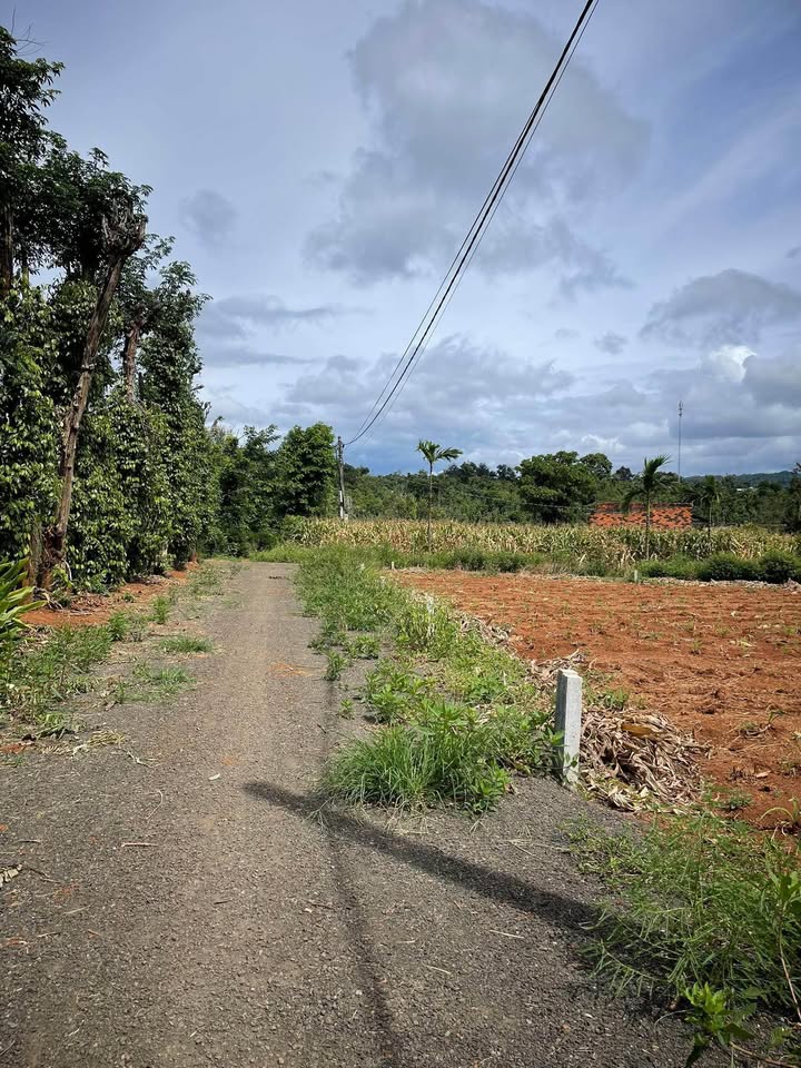 Bán Đất Vườn 1000m² Xã Ea Tiêu, Cư Kuin - Sổ Đỏ, Gần Hồ Ea Kao