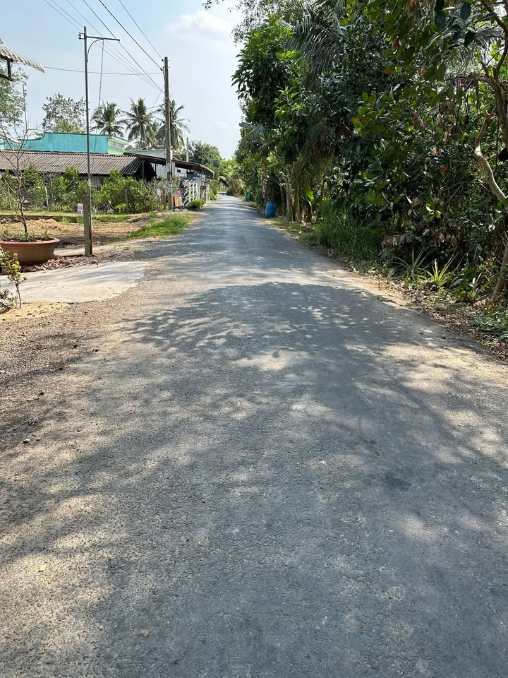 Đất nền Tân Phú Trung Sa Đéc – Sổ đỏ thổ cư 100%, tiềm năng sinh lời!