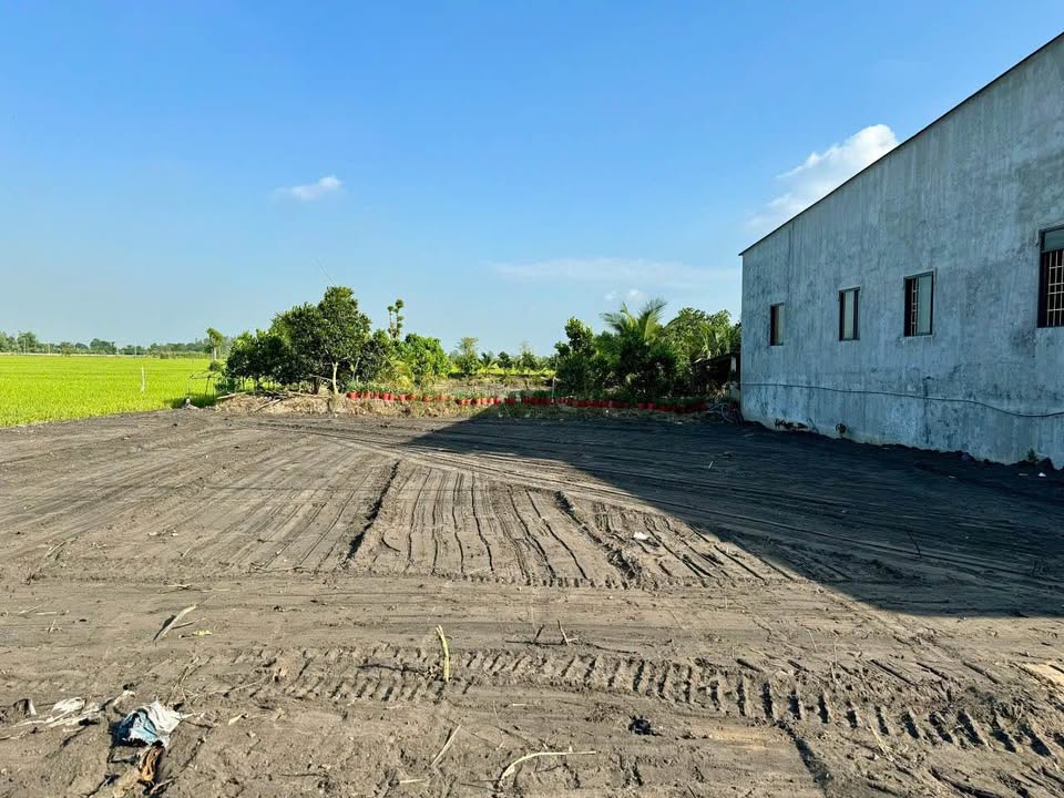 Đất Nền Mỹ Ngãi (Mỹ Tân Cũ) 125m² - Mặt Tiền Nguyễn Văn Phối, Giá 680 Triệu