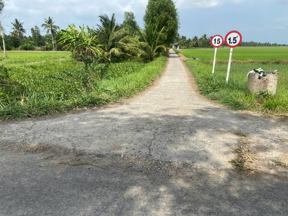 Đất Ruộng 2100m² Châu Thành Trà Vinh - Sổ Hồng Chính Chủ