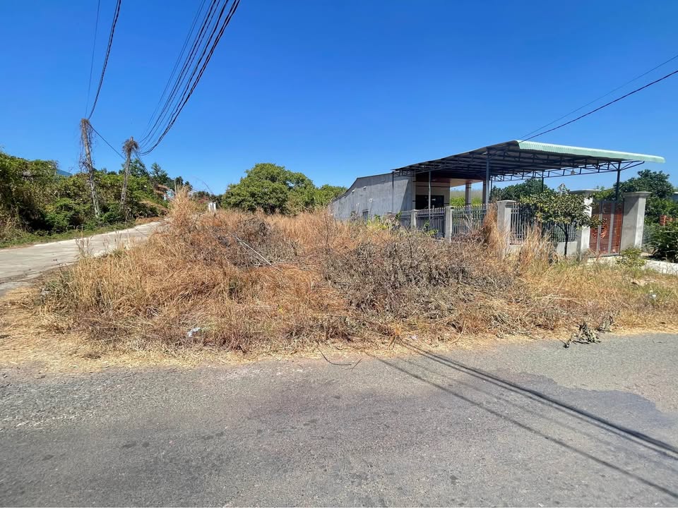 Bán Đất Lô Góc 2 Mặt Tiền Trần Hưng Đạo, Đồng Xoài - 420m² Giá 1.25 Tỷ