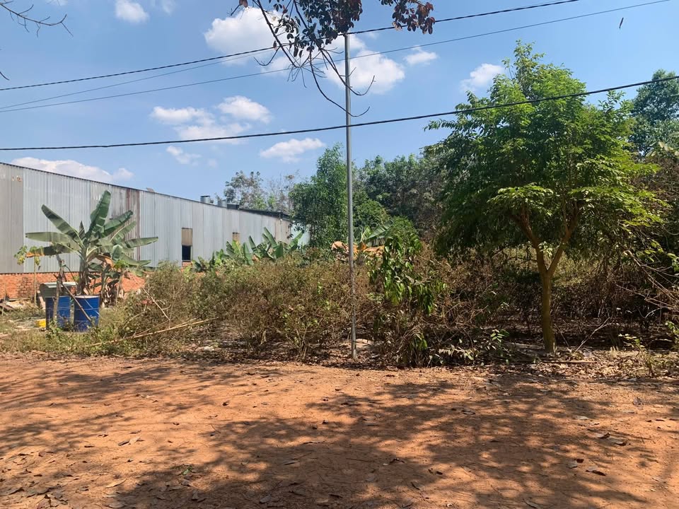 Bán gấp Đất nền Tân Lập, Tân Uyên 1000m² giá 4.5 tỷ - Sổ đỏ sẵn sàng