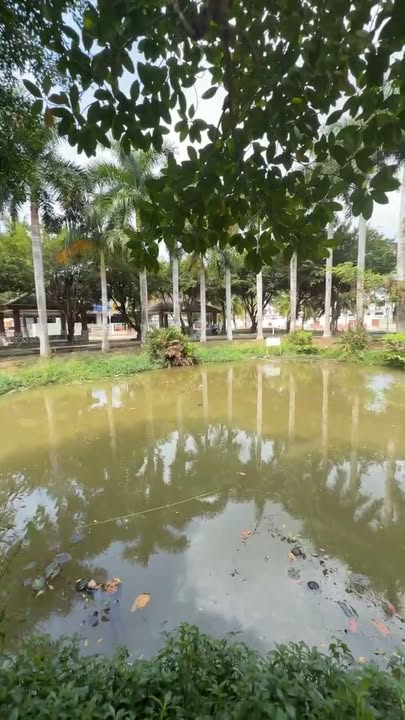 Bán nhà 88m² Sóc Trăng - Liền kề FPT, View Công Viên - Giá 1.6 Tỷ