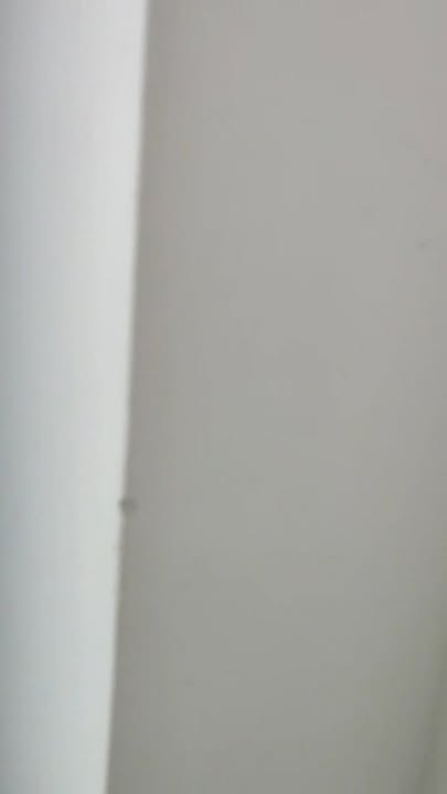 Nhà 2 Mê Phường An Mỹ, Tam Kỳ - 58m² Sổ Hồng Sẵn Sàng