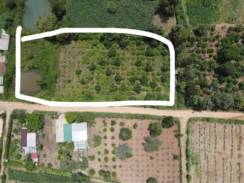 Đất Vườn 3800m² Ea Kar - Sổ Hồng Sẵn Sàng, Giá 2.5 Tỷ Tốt Nhất