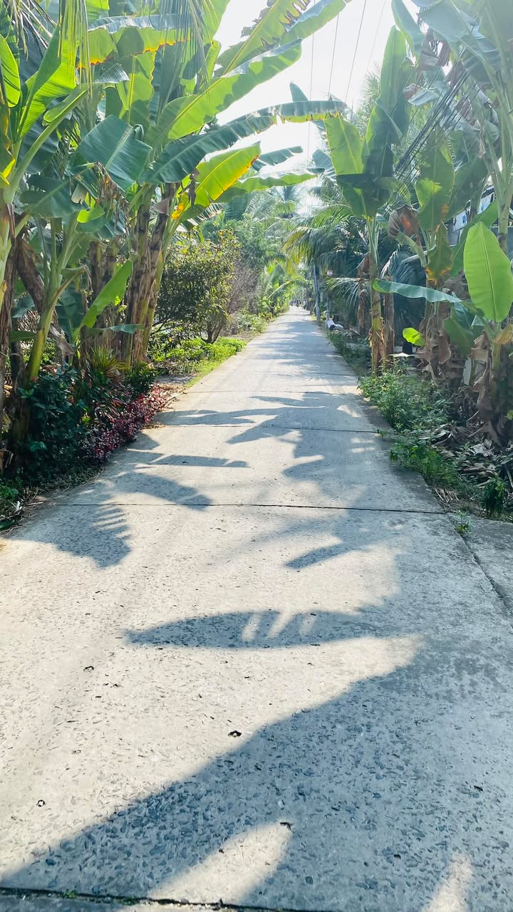 Bán đất 1600m² mặt tiền hẻm xe tải 6T, Xã Hữu Định, Bến Tre - Sổ hồng sẵn