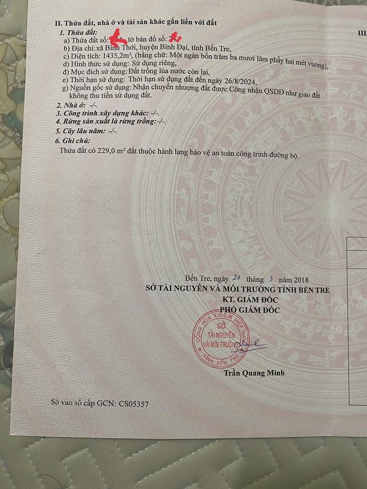 Đất mặt tiền QL57B Bình Đại 1500m² - Vị trí đắc địa kinh doanh