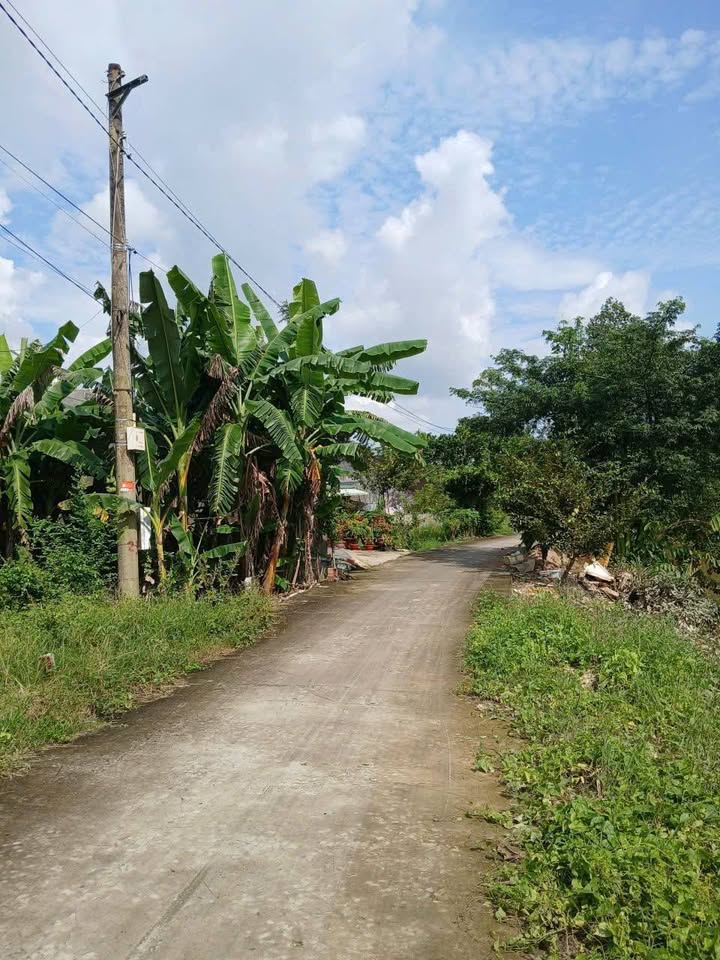 Đất nền Vĩnh Thới, Lai Vung 239m² - Sổ đỏ chính chủ, 440 triệu!