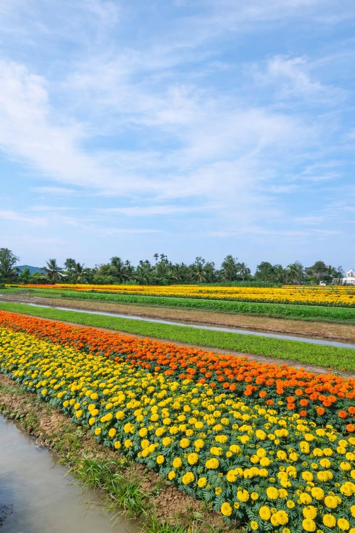 Đất nền Mỹ Phong, TP. Mỹ Tho 59m² - Tiềm năng tăng giá cao!