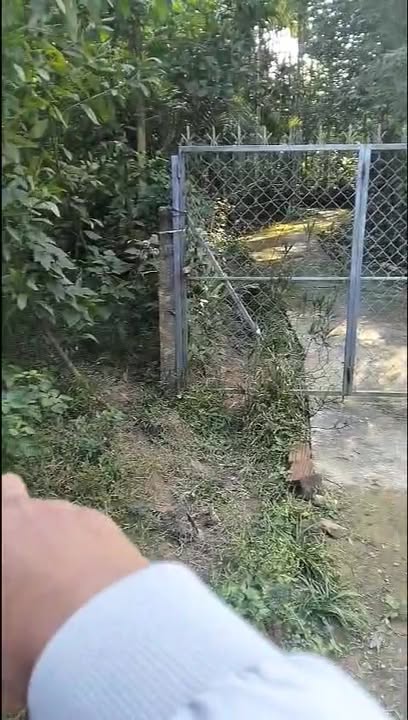 Đất nền Hòa Vang 150m² giá 1.04 tỷ - Sổ đỏ chính chủ cực đẹp!