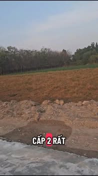 Bán Đất Thổ Cư Tân Châu, Tây Ninh 200m² - Sổ Hồng Riêng, Giá 320 Triệu