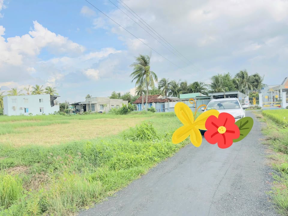 Đất nền Gò Công 200m² mặt tiền nhựa - Xây dựng tự do