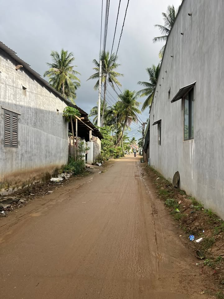 Đất Nền Tam Quan Nam 140m² Full Thổ Cư - Sổ Đỏ Sẵn Sàng