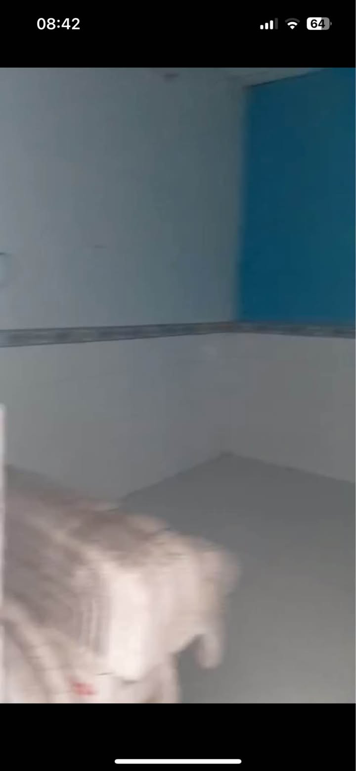 Bán Gấp Nhà Cấp 4 Lái Thiêu 35m² - Sổ Riêng Full Thổ Cư - Giá 1.5 Tỷ