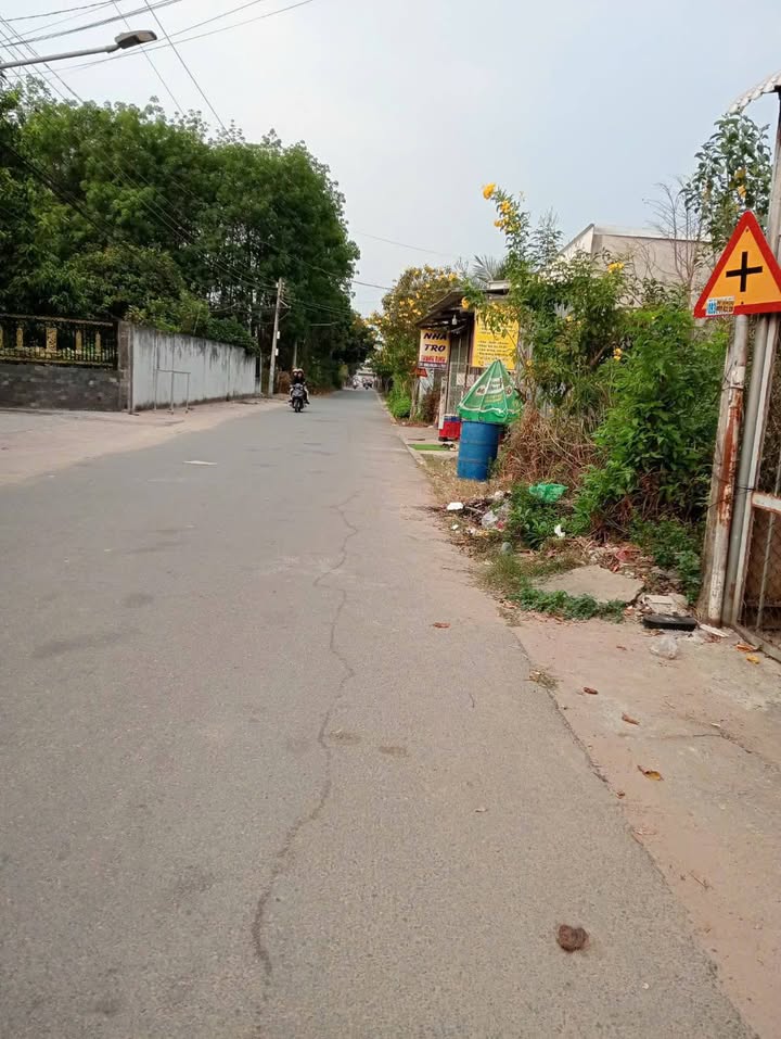 Bán Đất Mặt Tiền Đường Bác Sĩ Trung, Bến Cát - 207.5m² Thổ Cư, Sẵn Thu Nhập