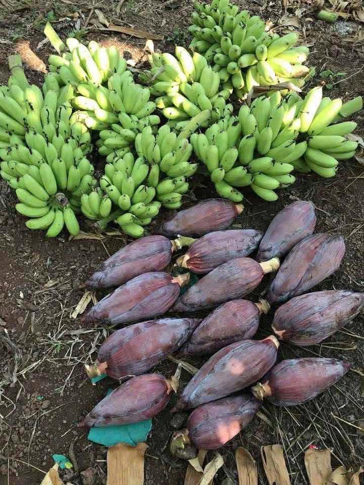 Đất nền Gia Tân 1, Đồng Nai 3240m² - Sổ đỏ chính chủ!