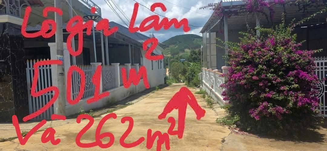 Đất nền Nam Ban 501m² giá 1.8 tỷ - Sổ đỏ chính chủ