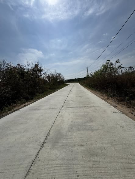 Bán Trang Trại Vịt 2.2ha Cư Jút Đắk Nông - Đầu Tư Sinh Lời Ngay!