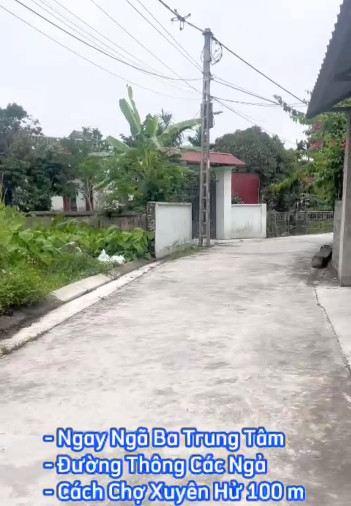 Đất nền Ninh Giang Hải Dương 75m² 400 triệu - Sổ đỏ chính chủ!