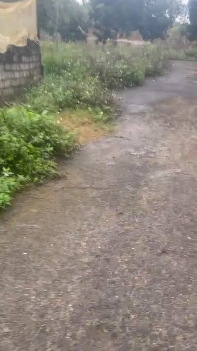 Đất nền Xã Cự Đồng, Thanh Sơn 4000m² - Sổ đỏ chính chủ