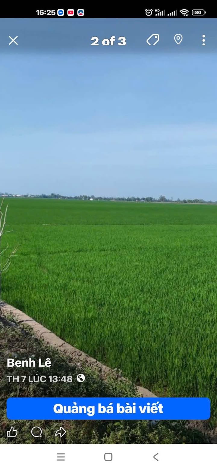 Đất lúa Định Mỹ, Thoại Sơn 18.000m² giá 3 tỷ - Sổ đỏ chính chủ!