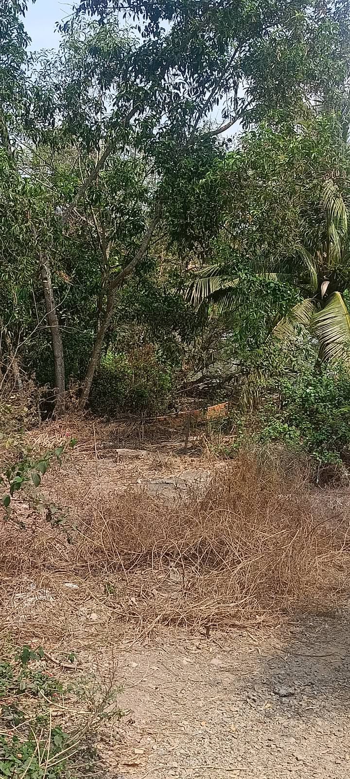 Đất nền Châu Đốc 128m² giá 470 triệu - Sổ đỏ chính chủ, xây dựng ngay!