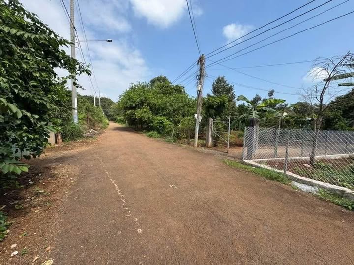 Đất vườn Long Phước Thủ Đức 1000m² - 3 tỷ Đầu tư dài hạn