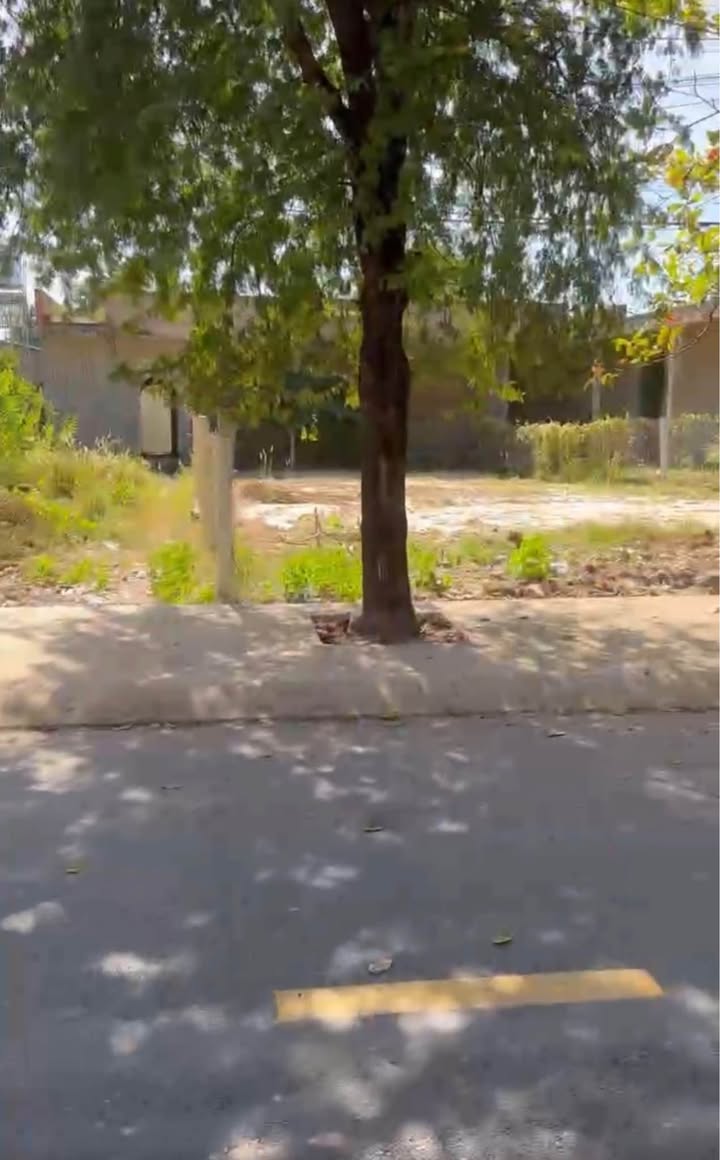 Đất nền mặt tiền Cù Chính Lần, Dương Minh Châu 348m² – Kinh doanh ngay!