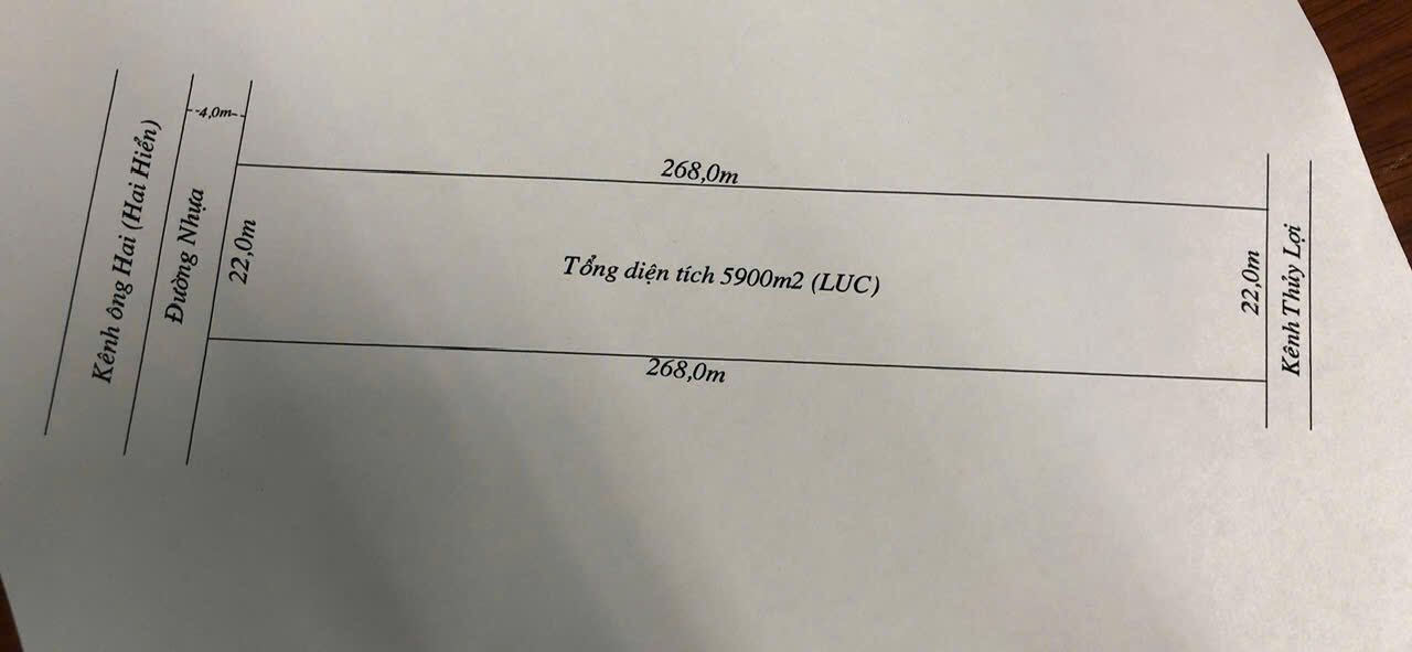 Bán Đất Mặt Tiền Nhựa Gáo Giồng, Đồng Tháp - 6000m² Giá 1.7 Tỷ