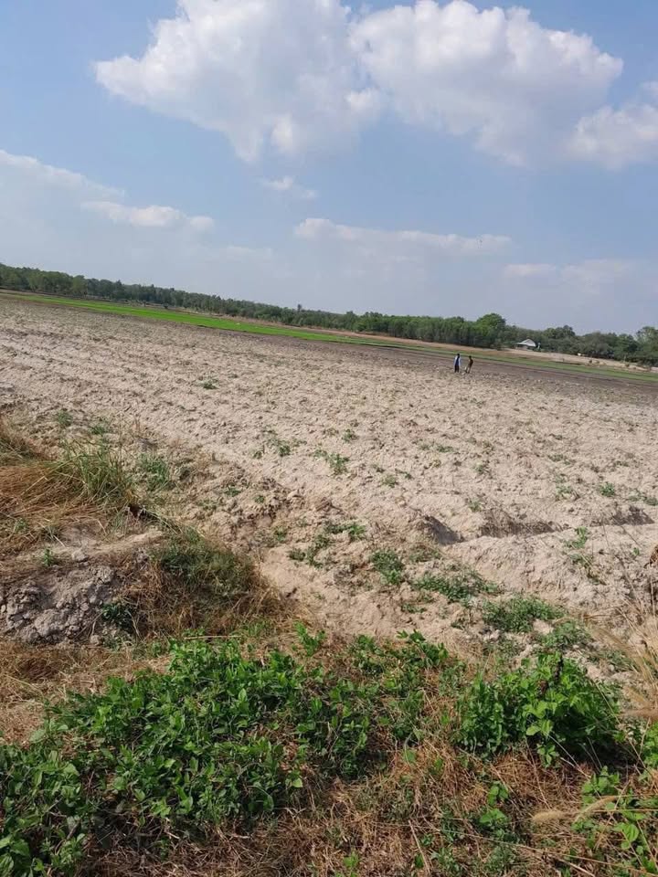 Đất vườn Châu Thành Tây Ninh 5000m² giá 300 triệu - Giá đầu tư tốt!