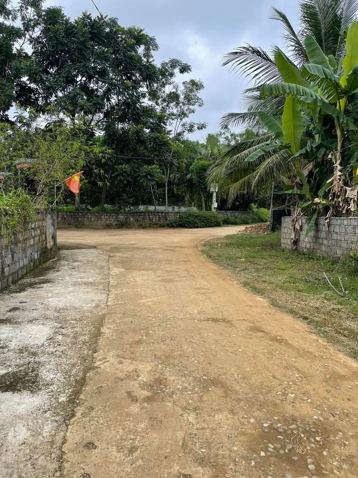 Đất nền Ngọc Lặc 671m² - Thổ cư 100%, tiềm năng sinh lời cao!