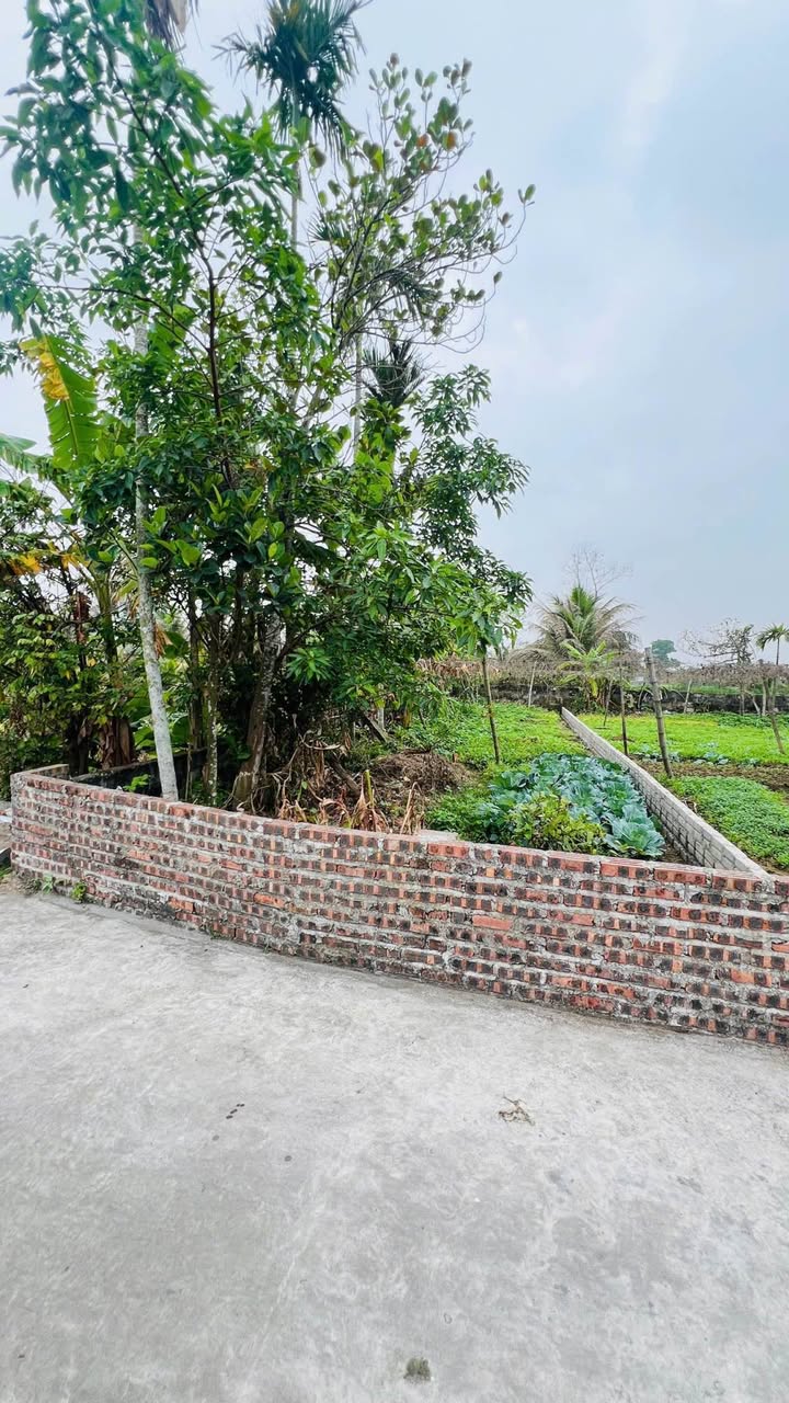 Đất nền 100m² Tràng Duệ, An Dương - Sổ đỏ sẵn, Ngõ ô tô, Giá đầu tư