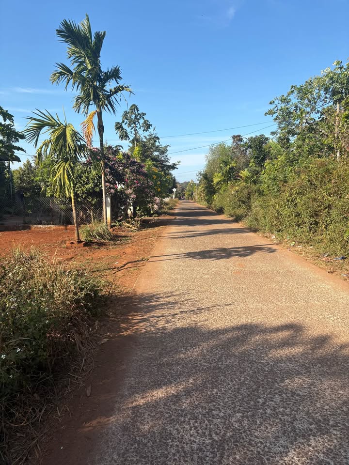 Đất Vàng Buôn Ma Thuột 130m² Sổ Đỏ Sẵn Sàng - Giá 460 Triệu