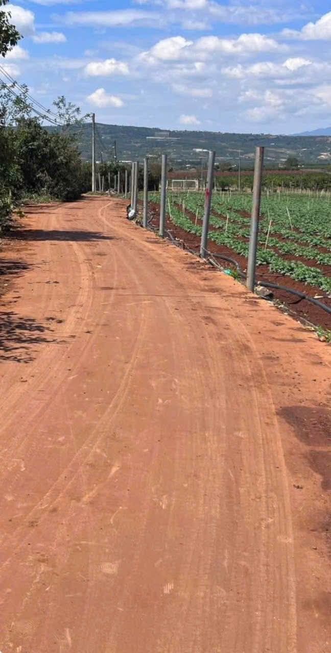 Đất nền Tân Hội, Đức Trọng 1100m² giá 880 triệu - Đường to ô tô