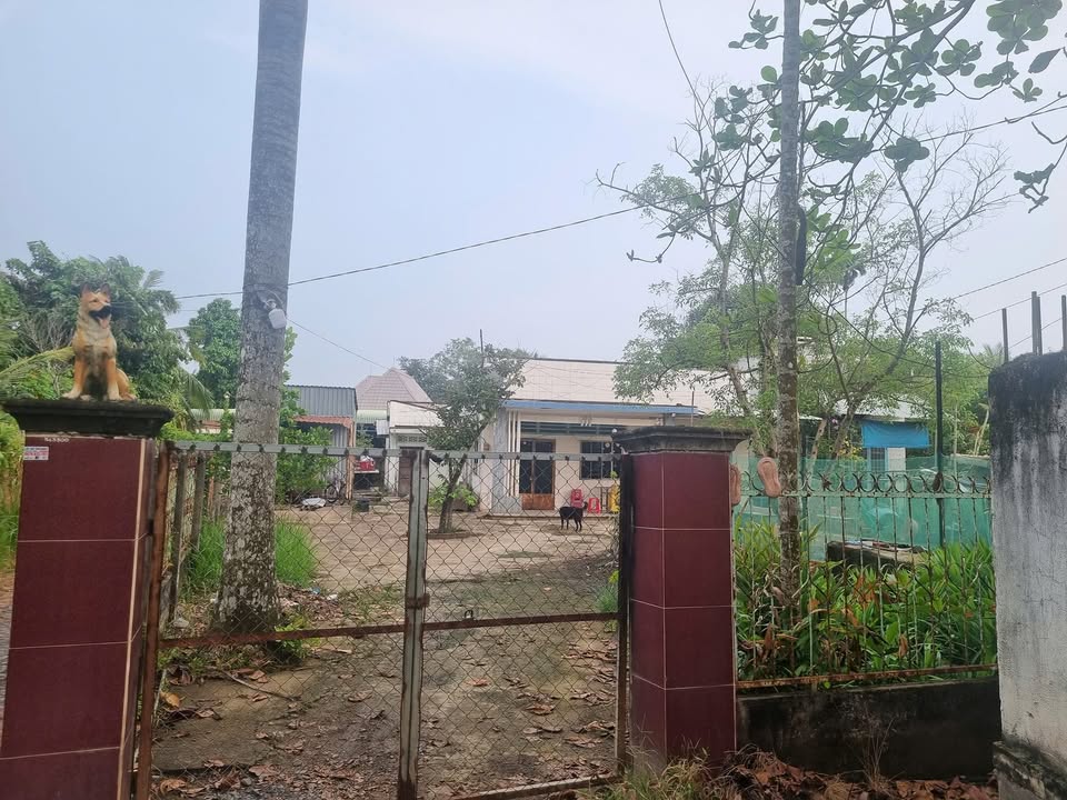 Đất nền 1240m² sổ hồng riêng, P. Long Phước, TP. Thủ Đức - Giá 10 tỷ