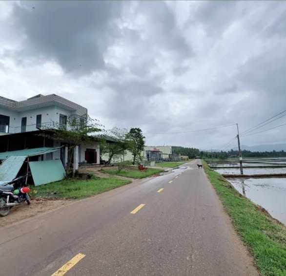 Đất Nền Hoài Ân - Sổ Đỏ Rõ Ràng, Mặt Đường Nhựa 150m², Giá 5xx Triệu