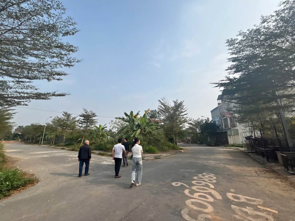 Bán Đất Vĩnh Yên 118m² - Lô Góc Kinh Doanh, Đầu Tư Sinh Lời