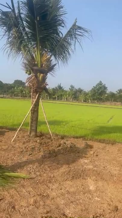 Đất nền Phạm Hùng Vũng Tàu 8280m² - Sổ đỏ chính chủ, mặt tiền 23m