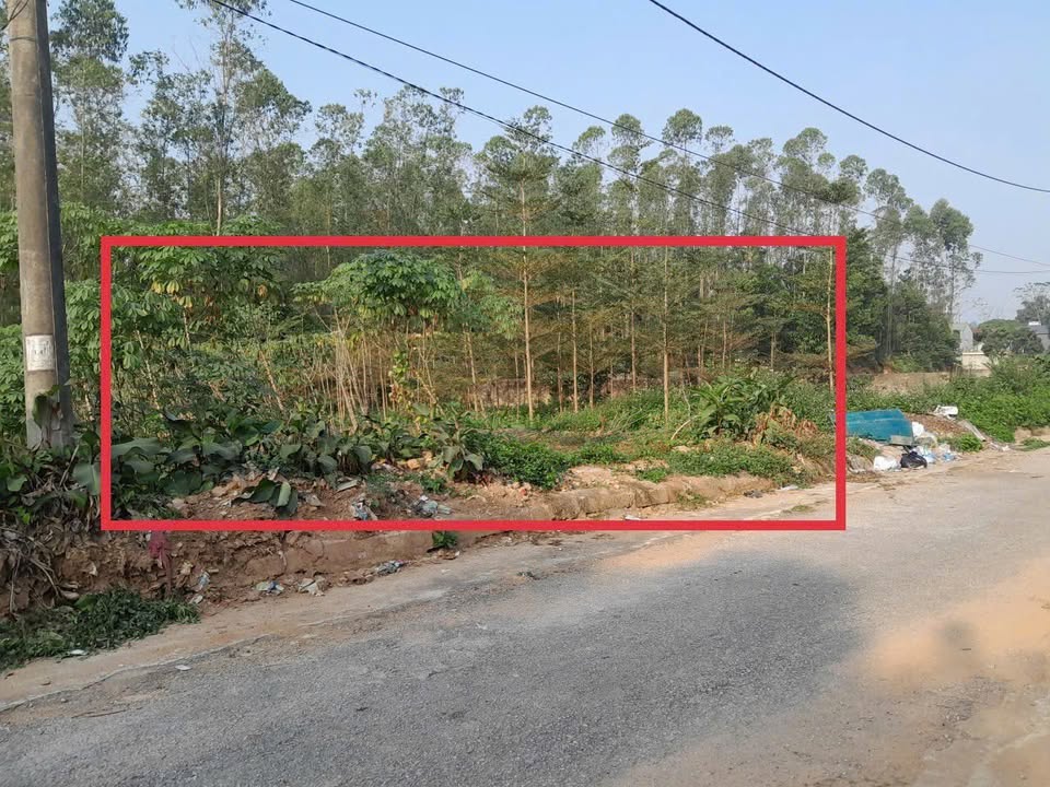 Đất nền Hy Cương Việt Trì 242m² - Đầu tư sinh lời vượt trội!