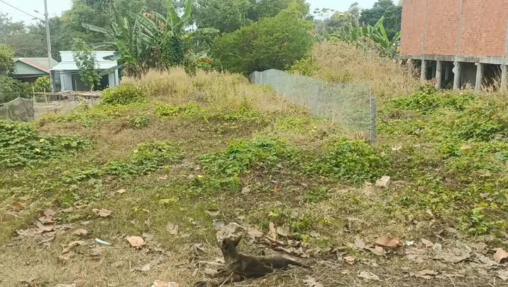 Đất Nền 377m² Thổ Cư Đầy Đủ - Thị Trấn Óc Eo Giá 550 Triệu