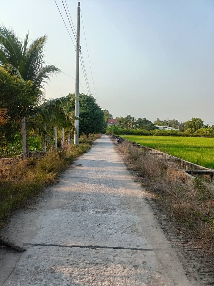 Bán Gấp 4 Công Đất Lúa Vĩnh Tế, Châu Đốc - 6.2 Tỷ