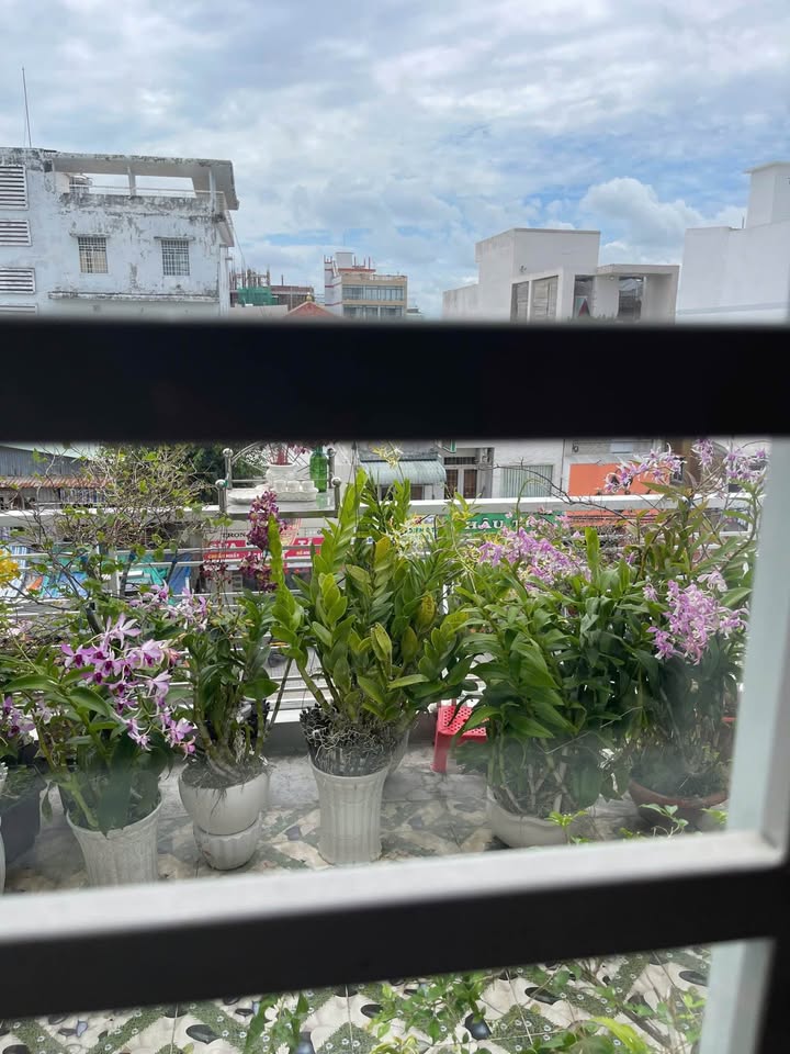 Nhà mặt tiền Lý Thái Tổ Long Xuyên 40m² giá 7.2 tỷ - Mặt tiền kinh doanh